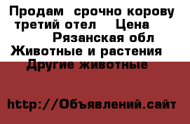Продам  срочно корову  третий отел  › Цена ­ 60 000 - Рязанская обл. Животные и растения » Другие животные   